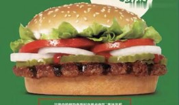 吃瓜明星娱乐圈百度云下载,揭秘热门下载背后的故事