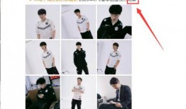 圈内人爆料是真的吗,真相揭秘，事件真实性引热议